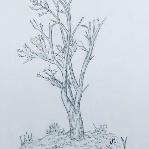 Happy little tree