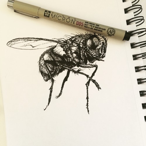 Bzzzz