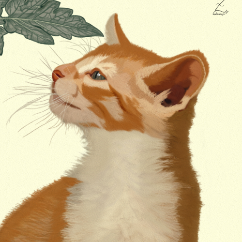 Cat Illustration by Oz Galeano