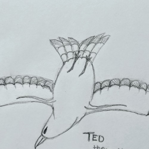 Ted