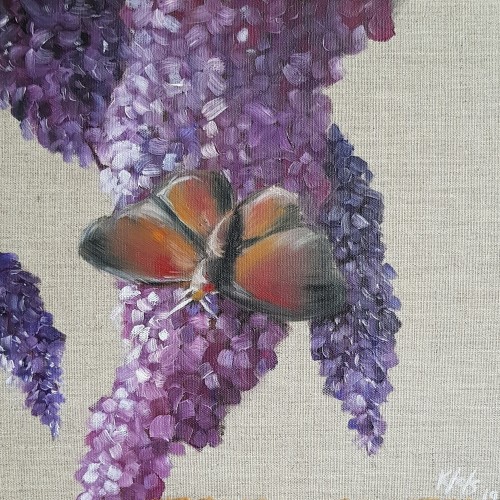 10x10 butterfly flower oil