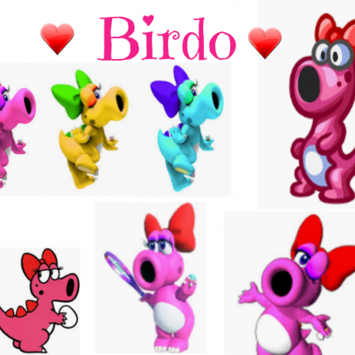 Birdo Collage!