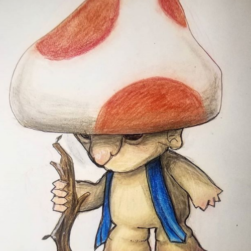 Mushroom Kingdom - Toads (Re-Conceptualized)