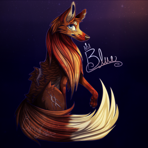 Blue the Fox