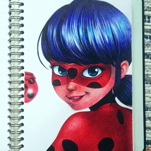 Ladybug