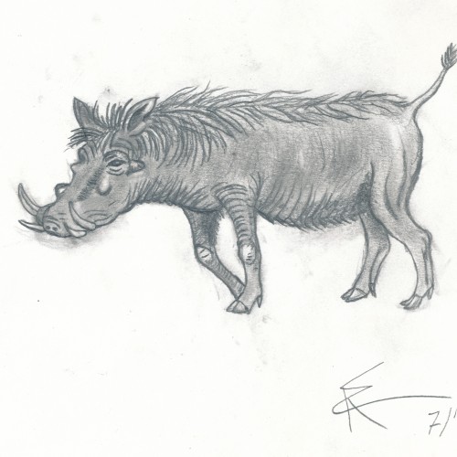 Warthog