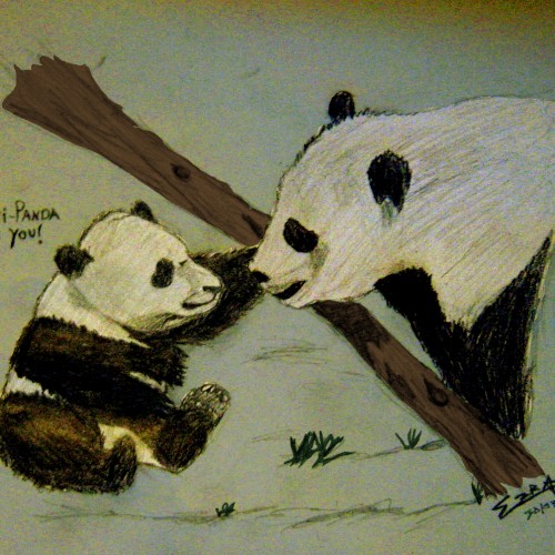 Panda Love (2009)
