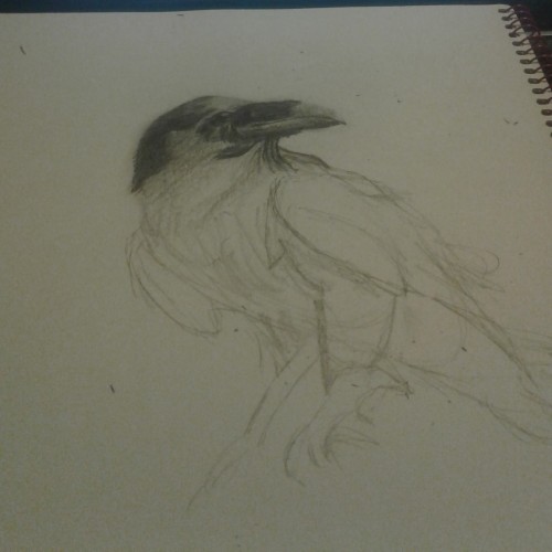 Raven (WIP)