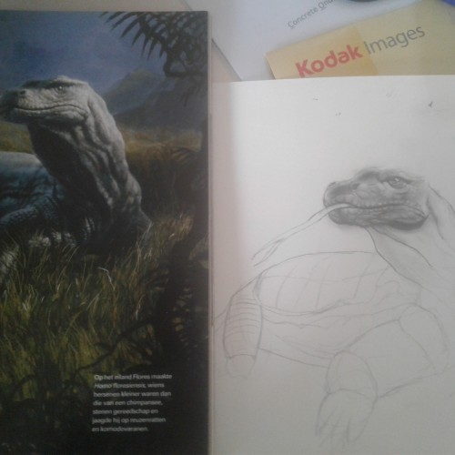 Komodo Dragon (WIP)