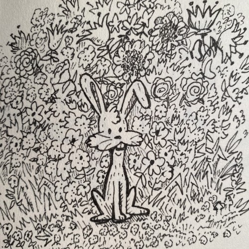 Just a bunny amongst some flowers