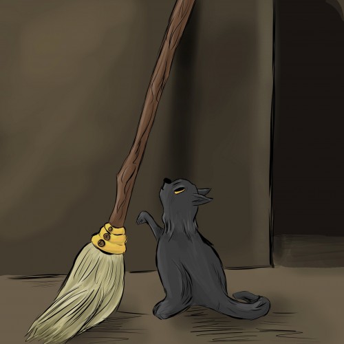 Cat and the Broom