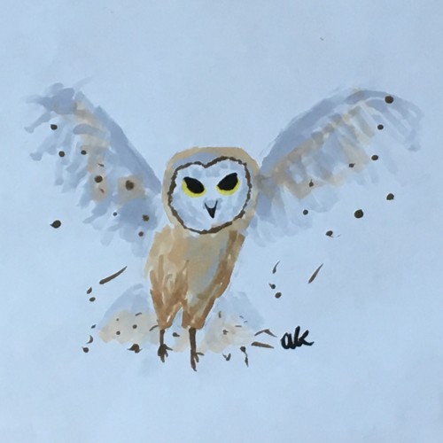 Barn Owl Flying