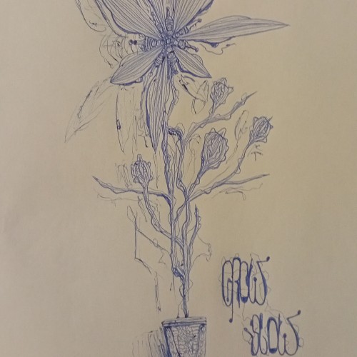 Grow Slow