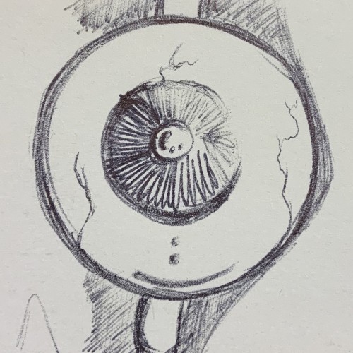 Eye