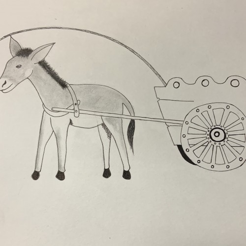 Donkey pulling cart