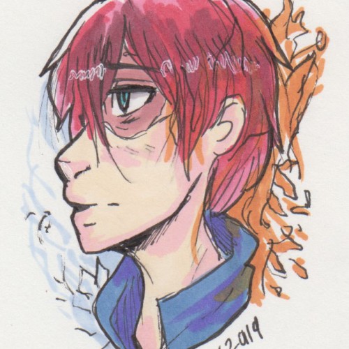 Todoroki