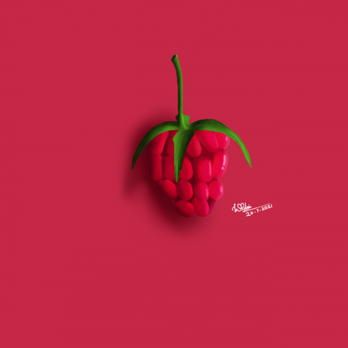 Raspberry Illustration