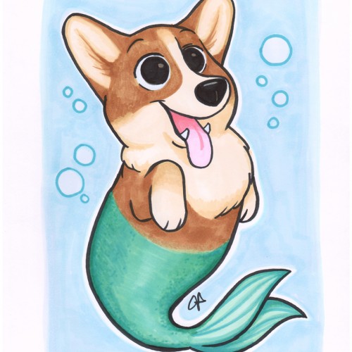 Mermaid Corgi