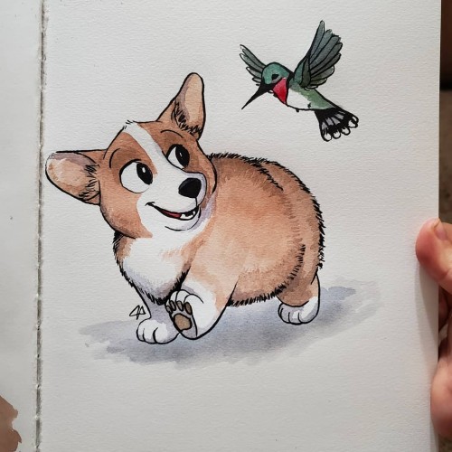 Puppy and Hummingbird friends