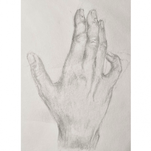 hands