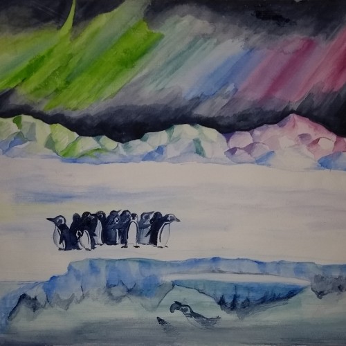 Aurora and penguins