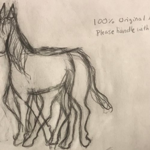 Horse Optical Illusion