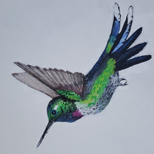 Humming bird painting