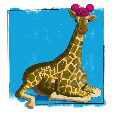 Rafee the Giraffe