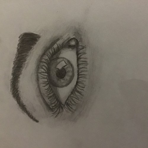 Eye