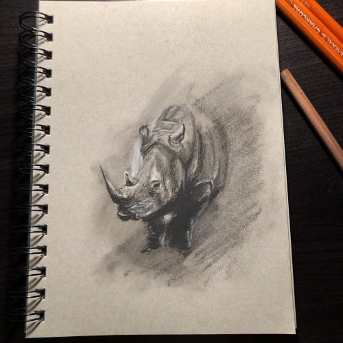 Rhino