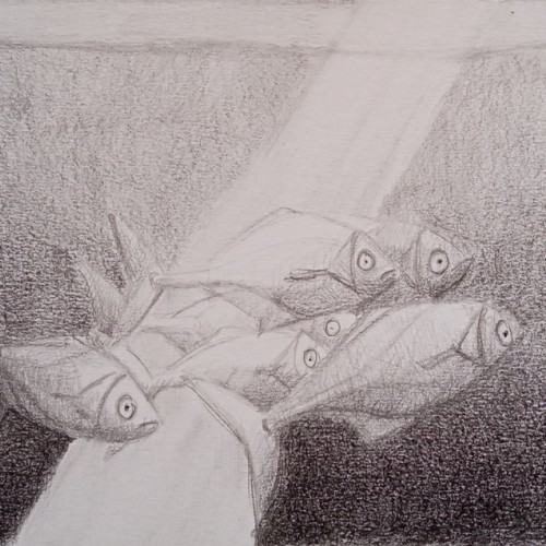 Underwater I. Fishes  pencil drawing