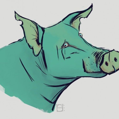 Green Pig