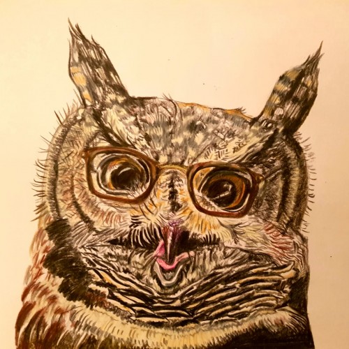 Anthropomorphised owl