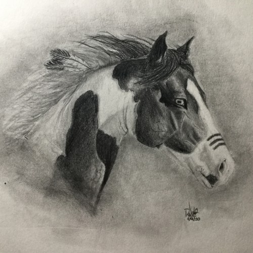 Indian Horse