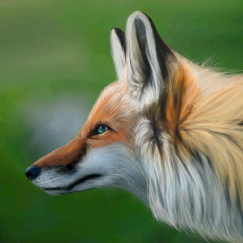 Digital fox