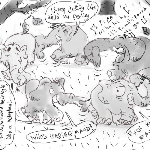 a bunch of elephants