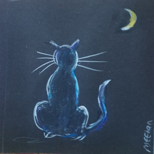 Black cat in the moonlight