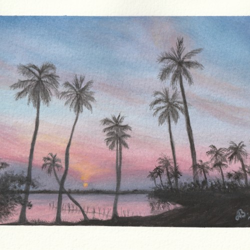 Sunset Palm trees Study