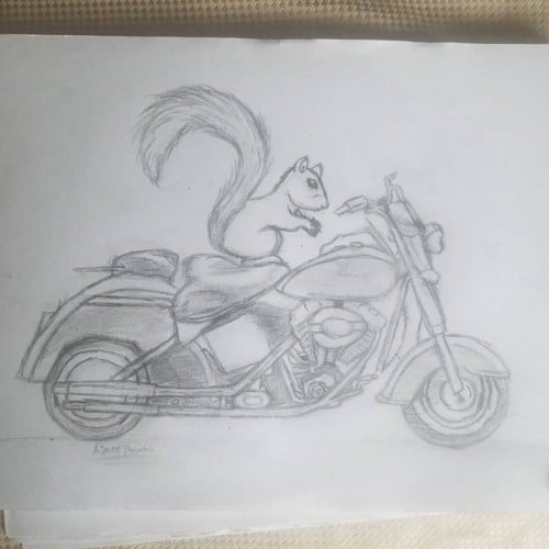 Squirrel on Motorcycle