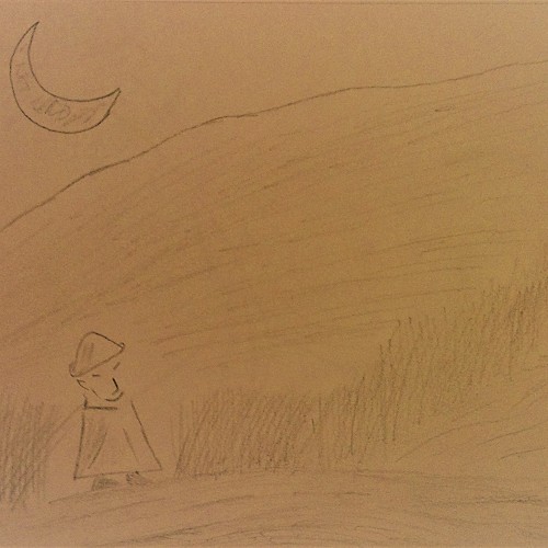 walking in the moonlight