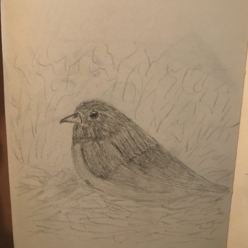 Small bird