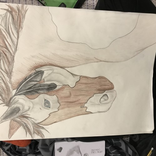 Unfinished Indian Horse