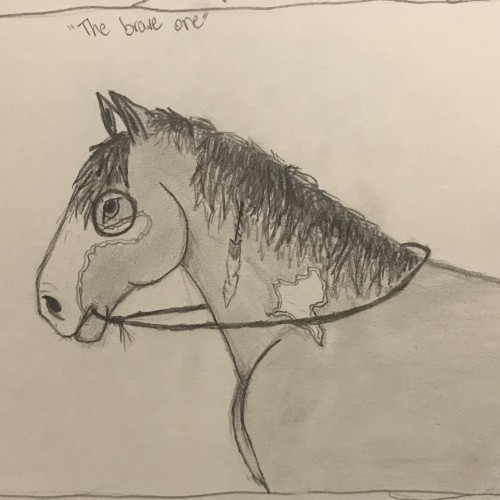 Indian Horse Sketch