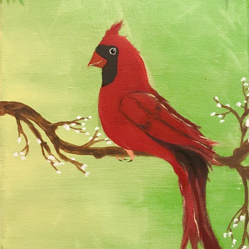 Spring Cardinal