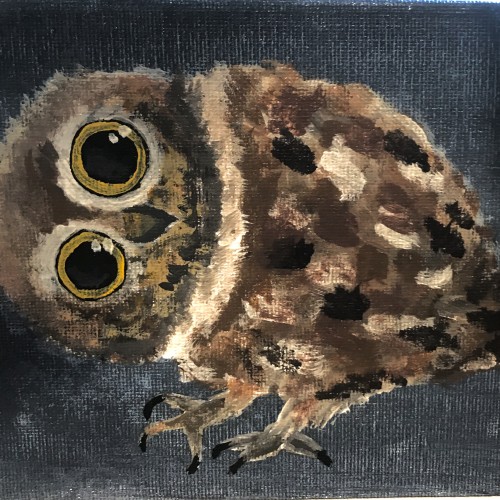 Acrylic Owl