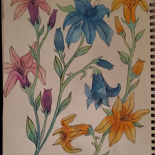 Hand draw lilies