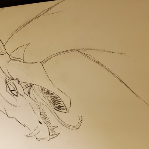Dragon sketch