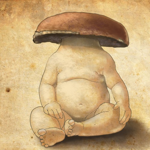 Baby shroom