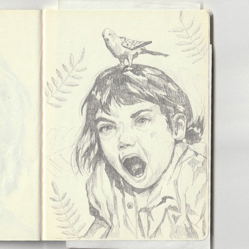 Ornithophobia
