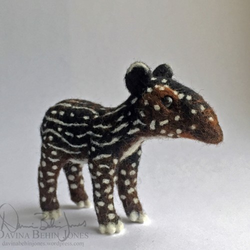 Baby Tapir